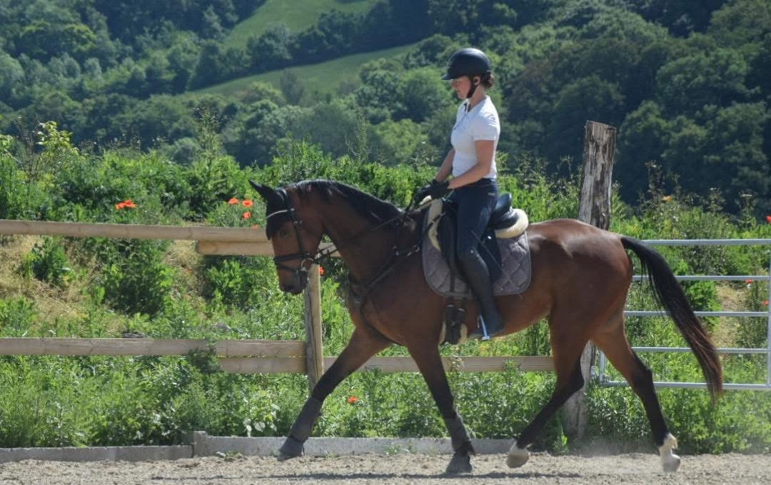 Theresa mit Freddy auf dem Reitplatz im Sommer