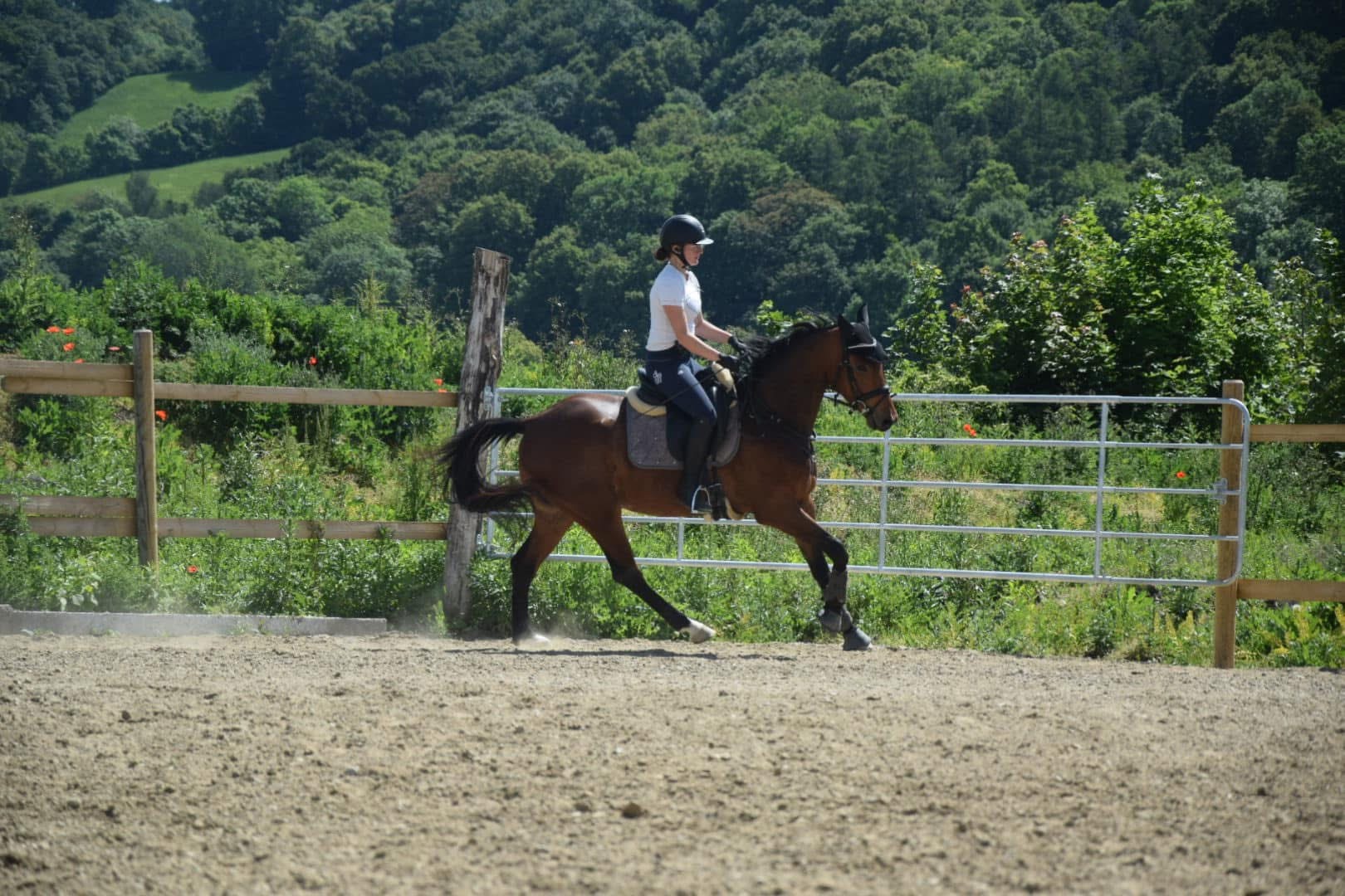 Theresa mit Freddy beim Reiten im Sommer