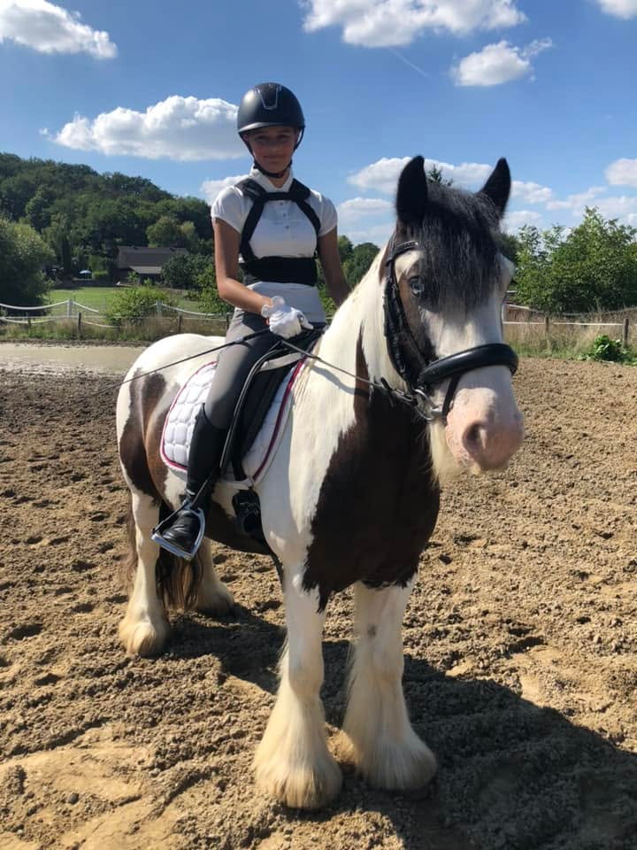 Jacky mit einer Reiterin auf dem Reitplatz