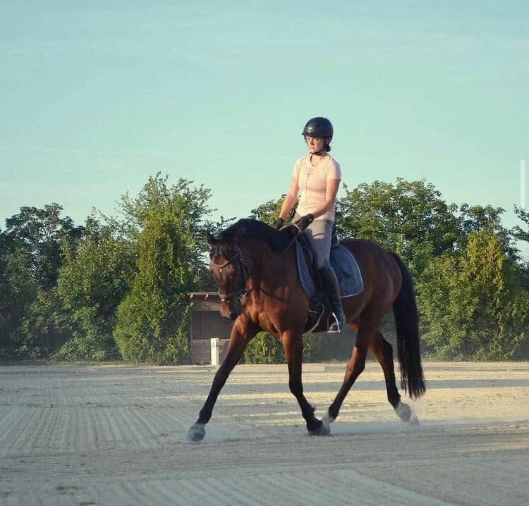 Lucky beim Reiten