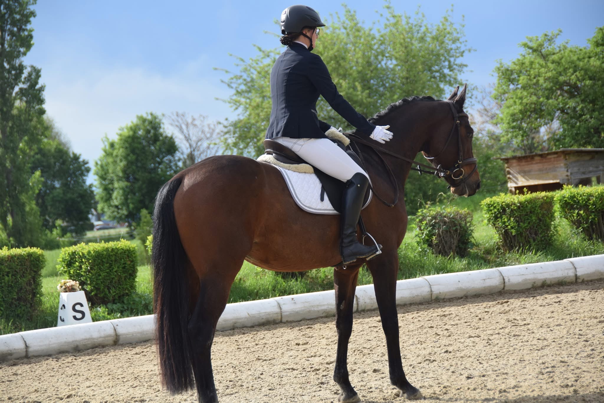 Theresa mit Lucky beim Reiten im Sommer